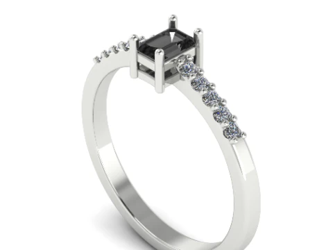 793 Ring 3D Druckmodell