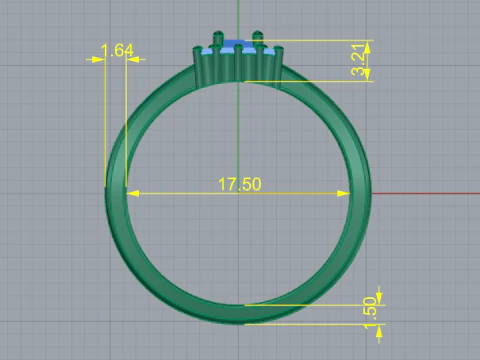 795 Ring 3D Print Model