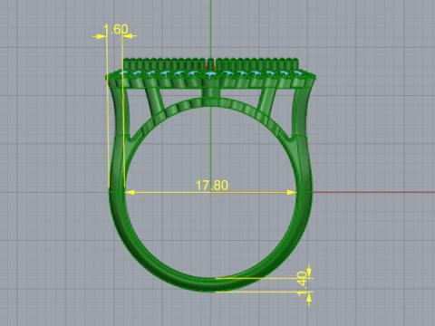 829 Ring 3D Print Model