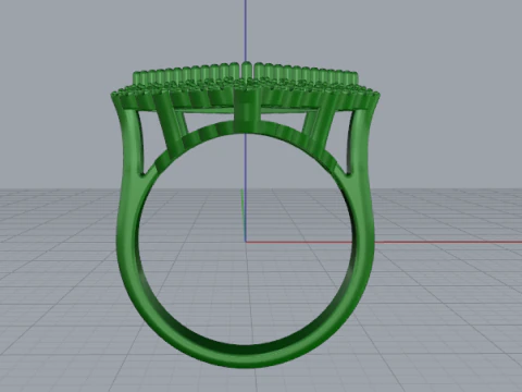 829 Ring 3D Print Model