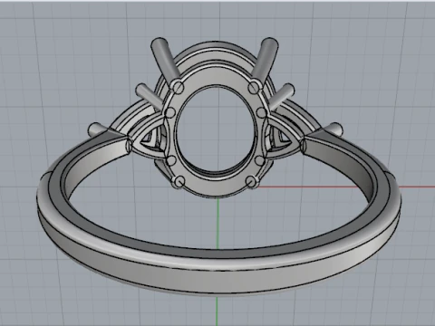 844 Ring 3D Print Model