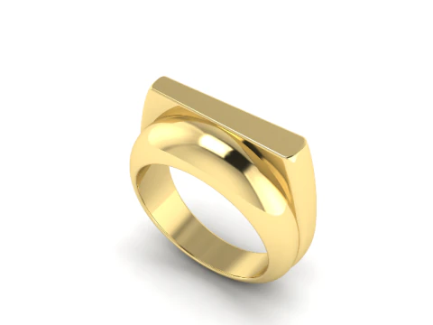 810 Ring 3D Print Model