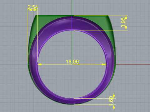 810 Ring 3D Print Model