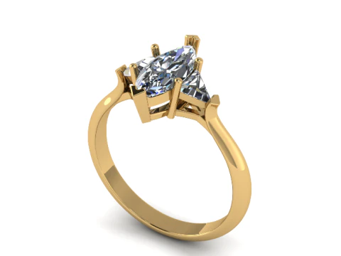 Anello 850 Modello di stampa 3D