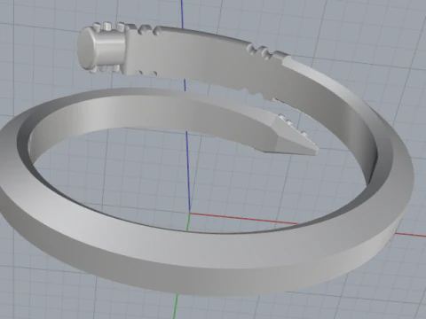 853 Ring nail 3D Print Model
