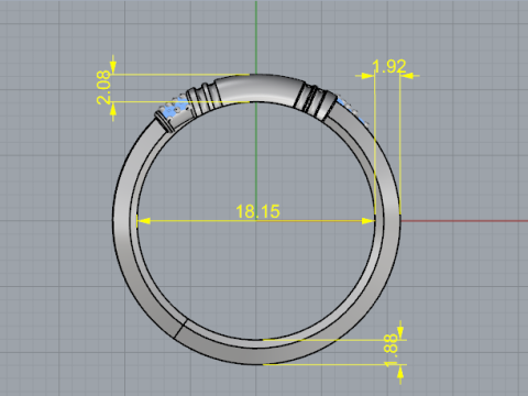 853 Ring nail 3D Print Model