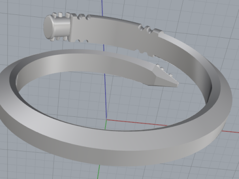 853 Ring nail 3D Print Model
