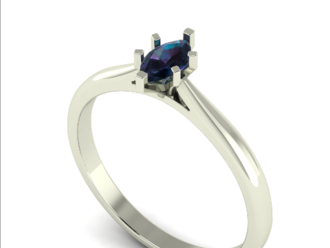 857 Ring 3D Print Model