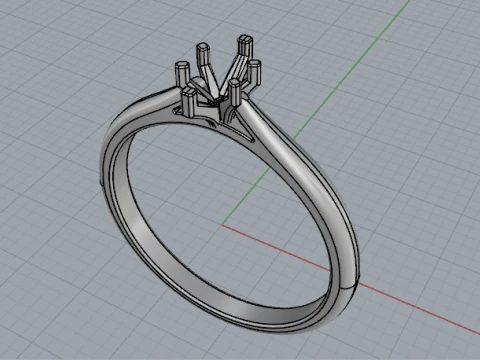 857 Ring 3D Print Model