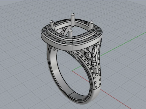 861 Ring 3D Print Model