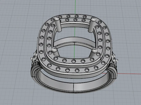 861 Ring 3D Print Model