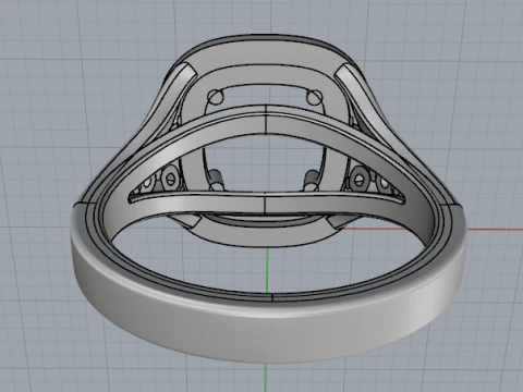 861 Ring 3D Print Model