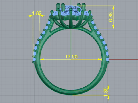 869 Ring 3D Print Model