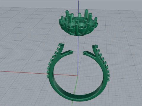 869 Ring 3D Print Model