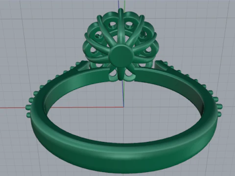 869 Ring 3D Print Model