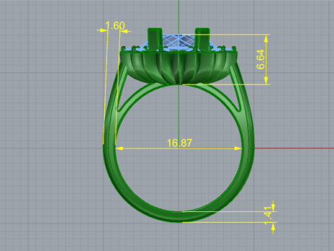 873 Ring 3D 打印模型