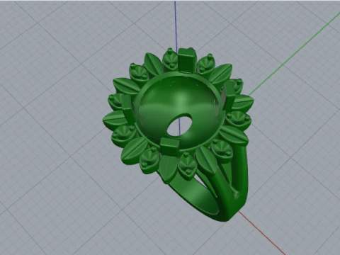 873 Ring 3D Print Model