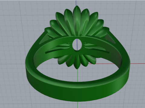 873 Ring 3D 打印模型