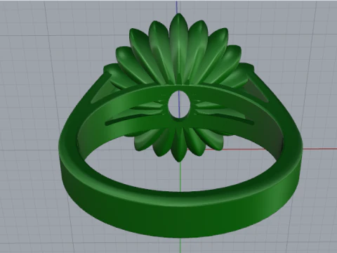 873 Ring 3D Print Model
