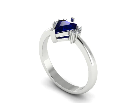 881 Ring 3D Print Model