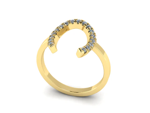 883 Ring 3D Print Model