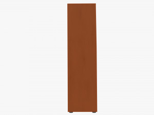 Cartoon Closet with books Modello 3D