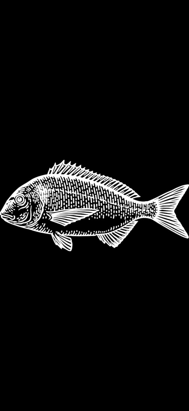 keychein fish 3D 프린트 모델 .c4d .max .obj .3ds .fbx .stl .blend 