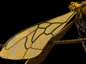 mutant wasp 3D Model