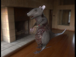 rat zombie 3D Model