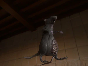 rat zombie 3D Model