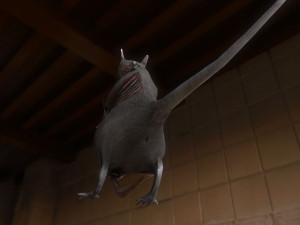 rat zombie Modelo 3D