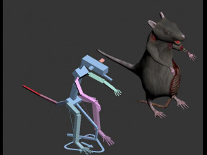 rat zombie Modelo 3D