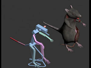 rat zombie 3D Model