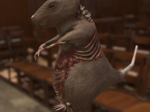 rat zombie 3D Model