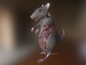 rat zombie Modelo 3D