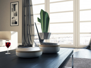 cactus in vase 3D-Modell