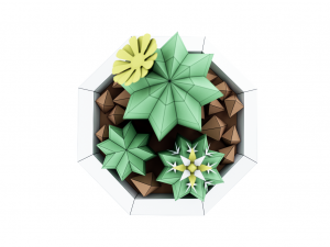 cactus in vase 3D Модель