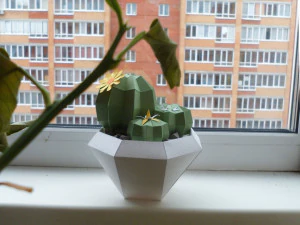 cactus in vase 3D Model