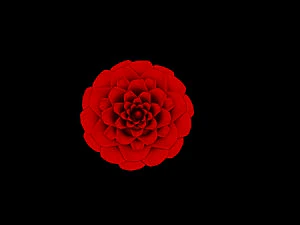 rose 3D Model