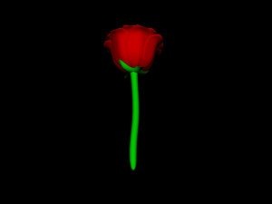 rose 3D Model