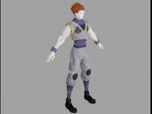 hisoka morow 3D Model