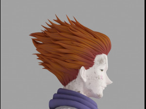 hisoka morow Model 3D