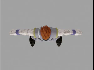 hisoka morow 3D Model