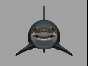 Jaws shark 3D Model