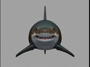 Jaws shark 3D Model