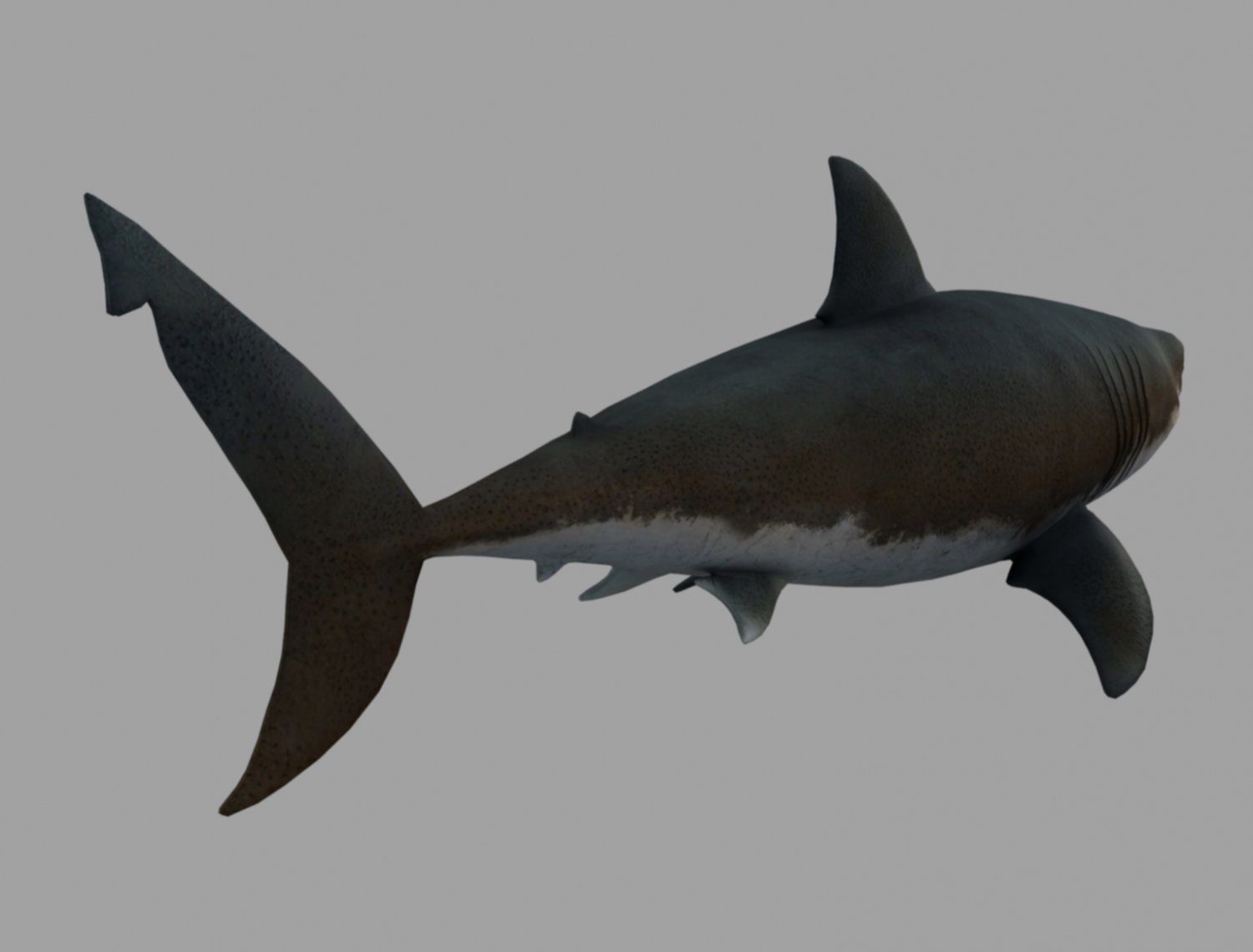 как сделать в 3 шарк