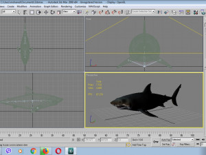 Jaws shark 3D Model