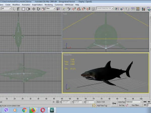 Jaws shark 3D Model