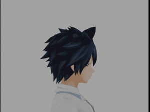 gray fullbuster Model 3D