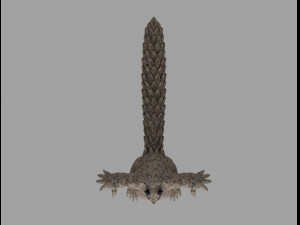shukaku Model 3D